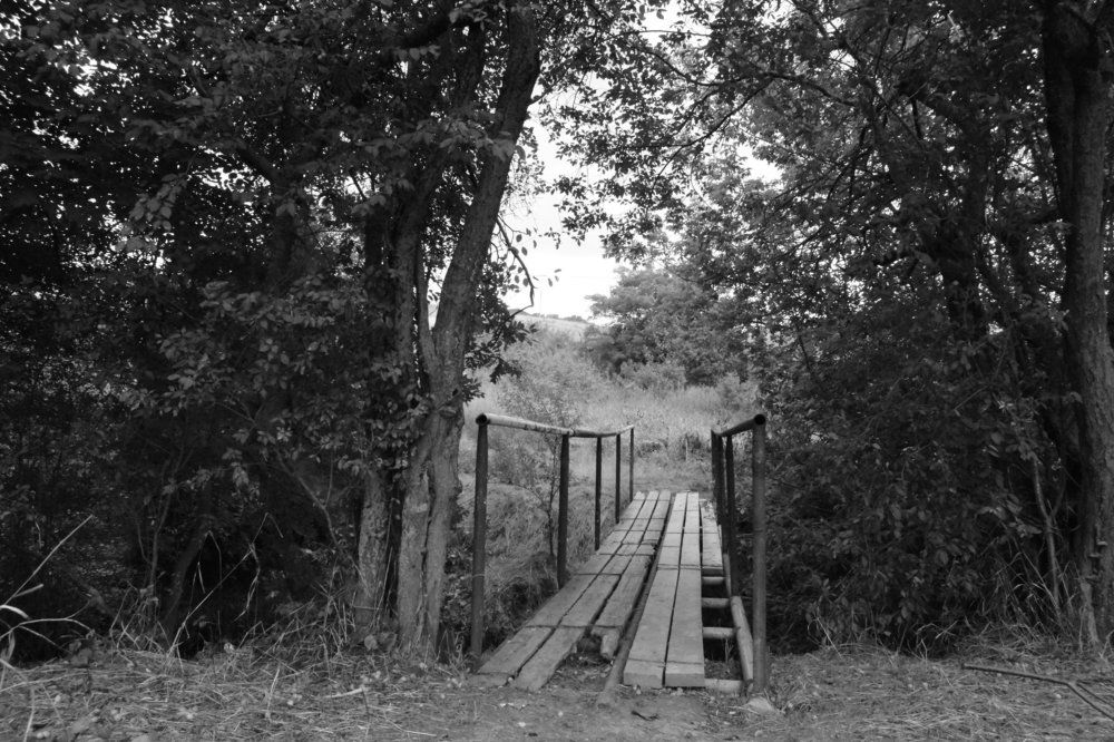 мосты в глубинки