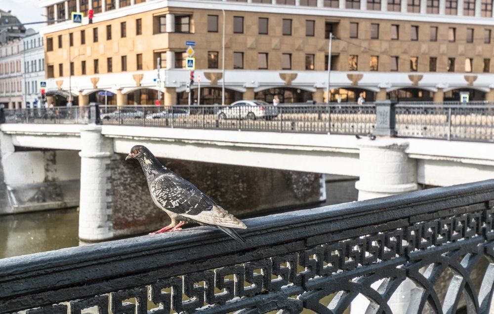 Чугунный мост