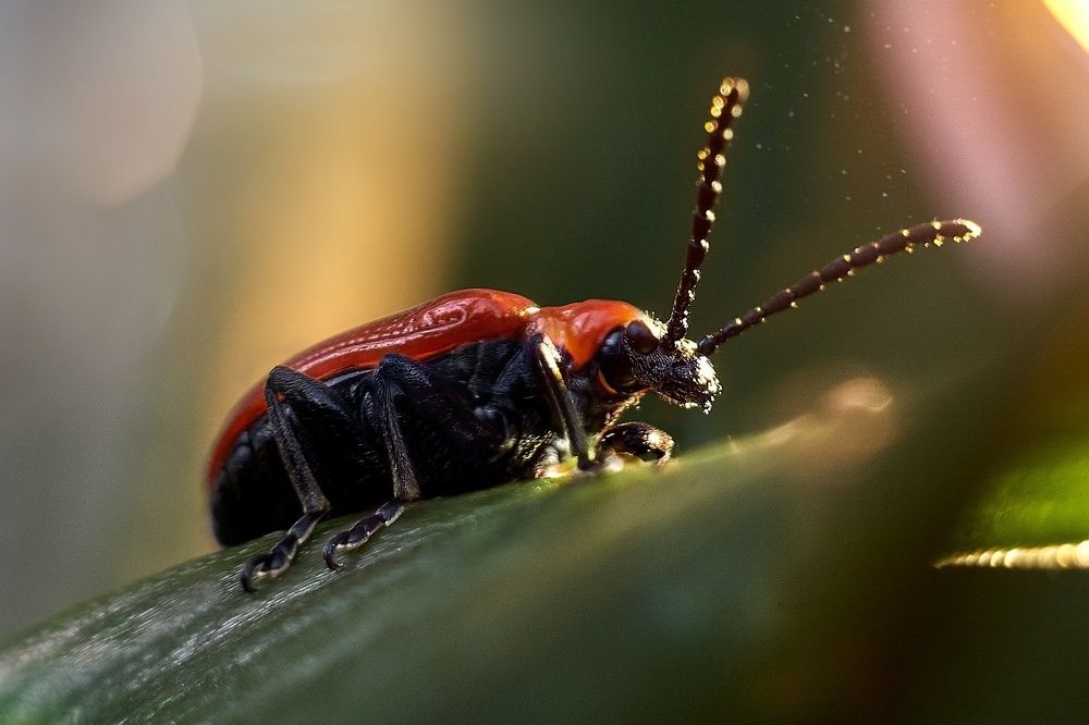 Photograph by Ольга Маковецкая