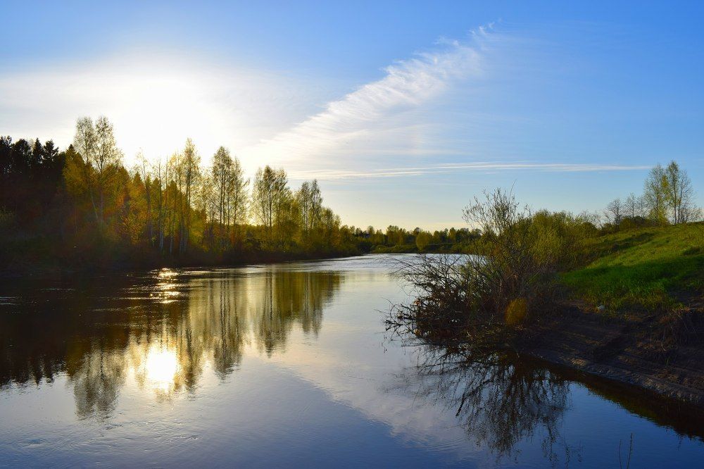 Природа в Ярославской области.