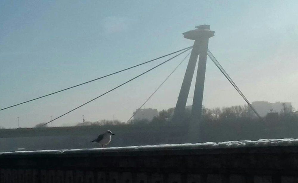 Мост в Братиславе. Словакия.