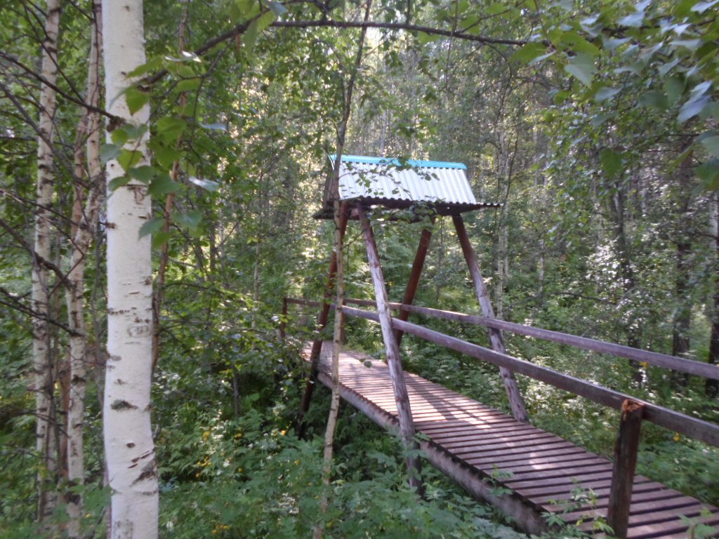 мостик в парке