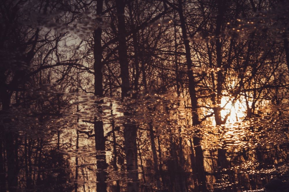 Параллельный мир