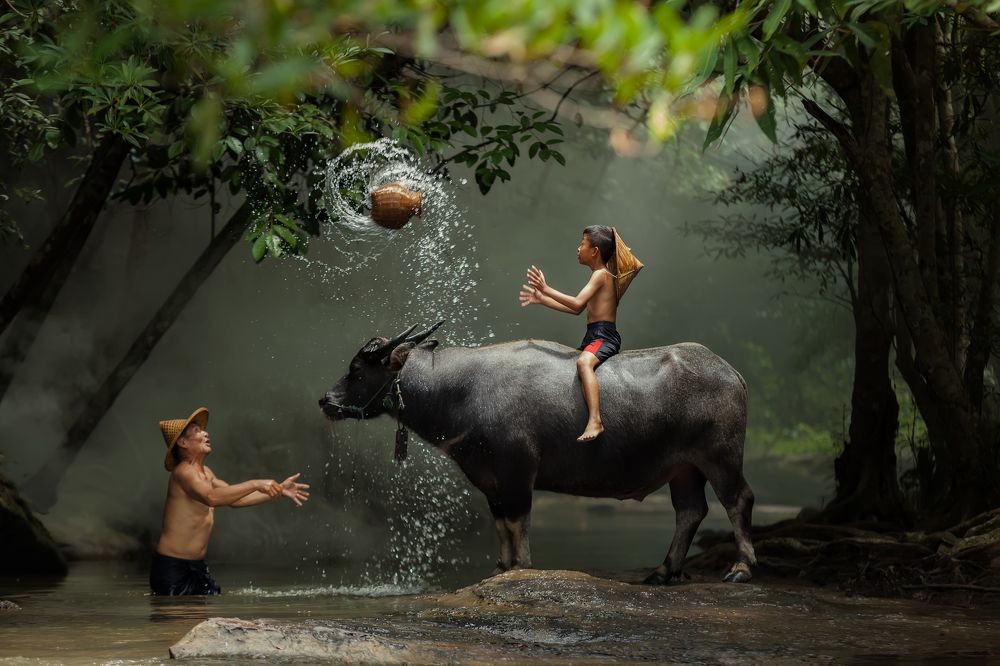 Son and dad this is lifestyle of family farmer at rural Asia