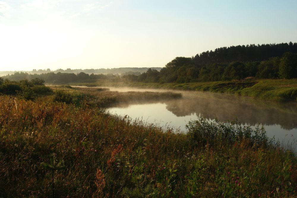 река Медведица