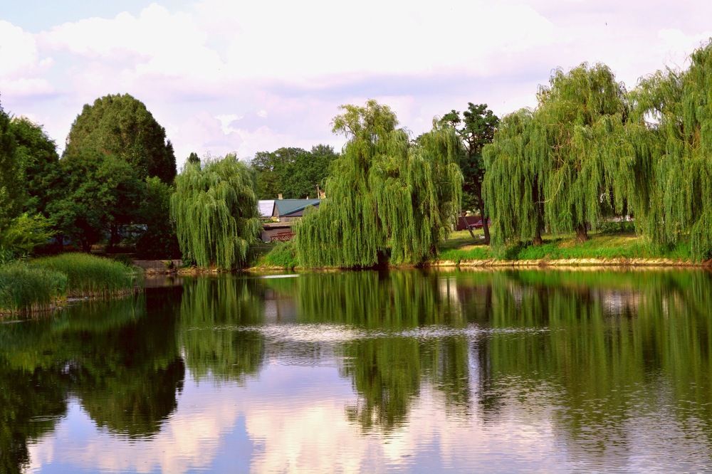 Photograph by Олеся Савленко