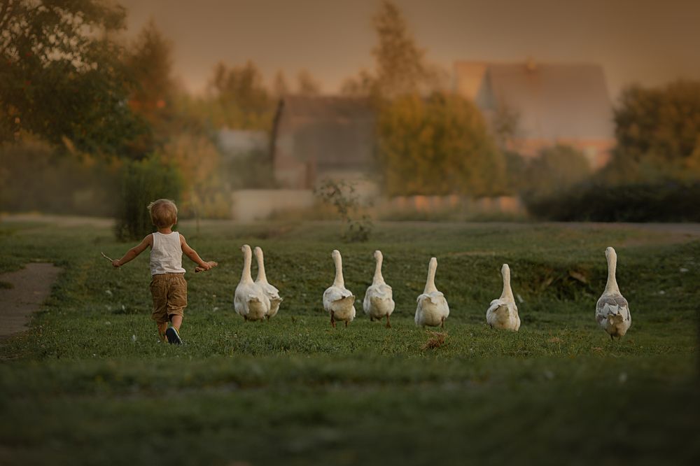 Photograph by Юлия Бизяева