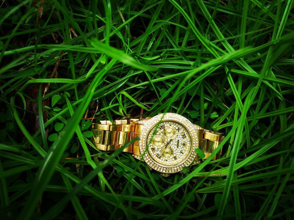 Natue with Rolex