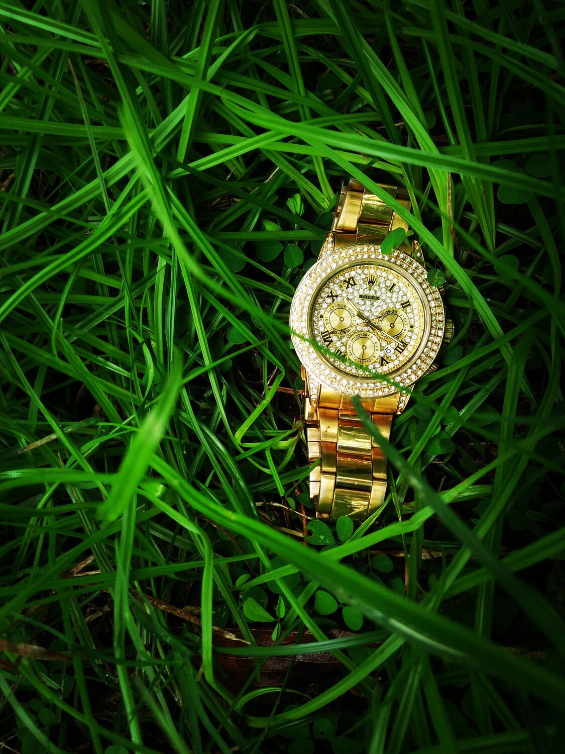 Natue with Rolex
