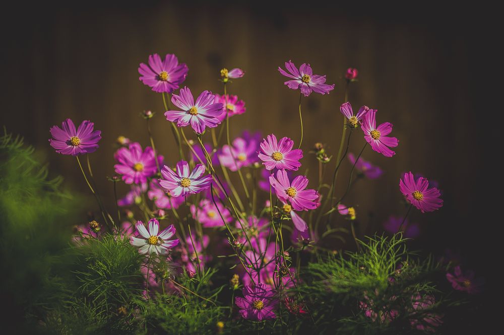 Фотография автора Оркина Ксения