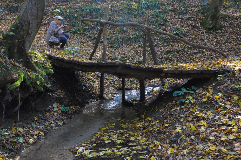 Photograph by Вячеслав Бондаренко