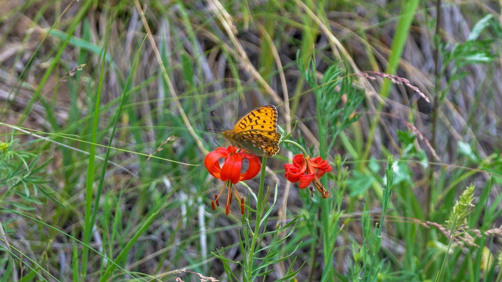Фотография автора Zakharov Armen