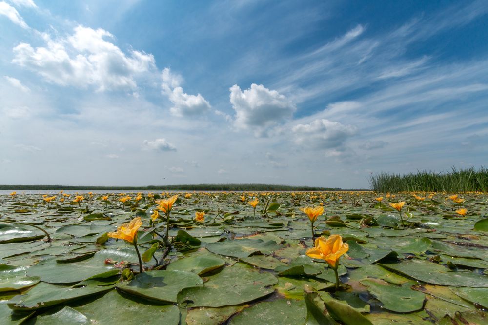 Photograph by Алексей Кашин