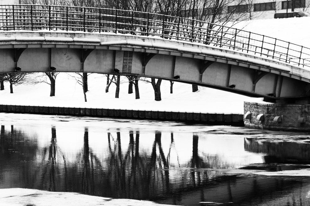 Фотография автора Гудкова Светлана