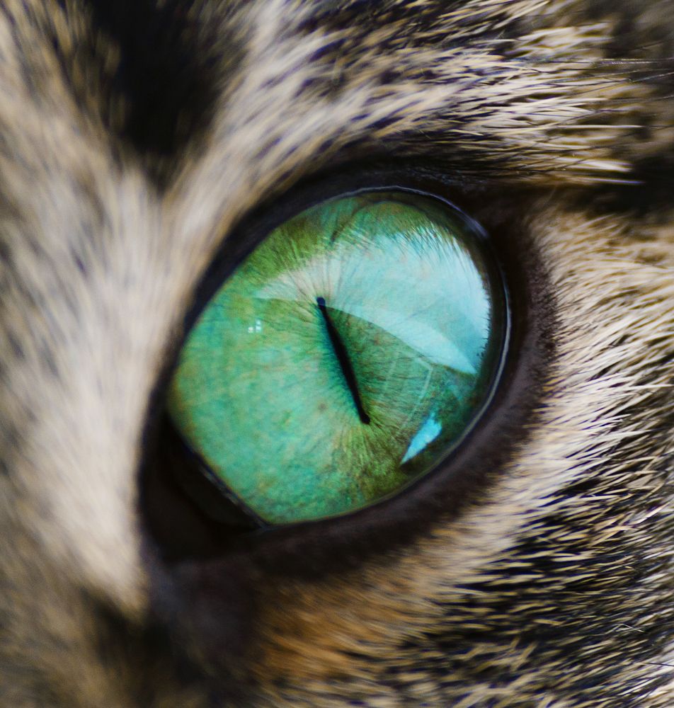 Photograph by Александр Смирнов