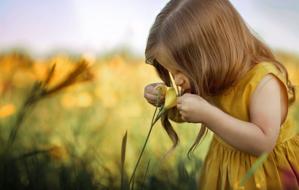 Вкус цветочка