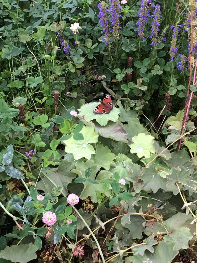 Photograph by Светлана