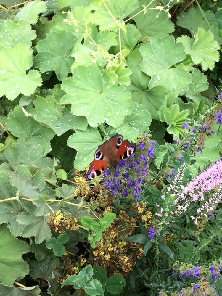 Photograph by Светлана