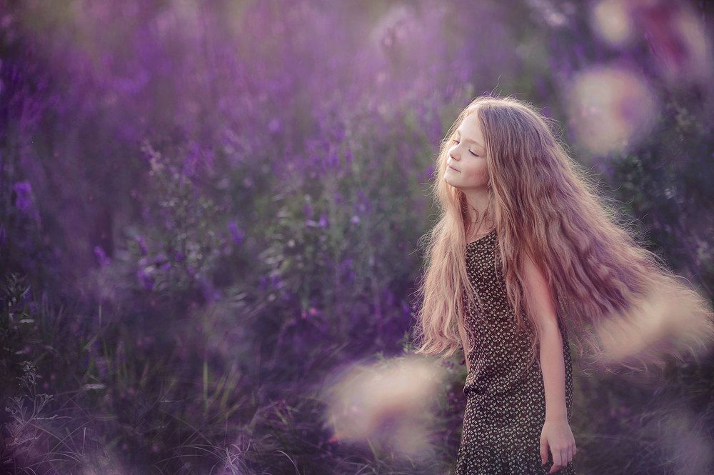 Лиловые сны...