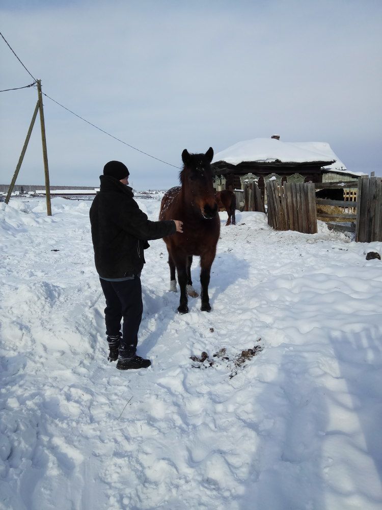 Деревенская жизнь