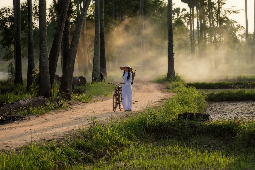 Woman wearing a Vietnamese dress Ao Dai are ride on a bicycle along the road in a village at countryside.