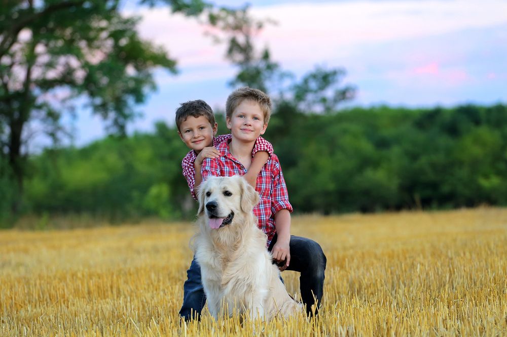 Photograph by Попова Светлана