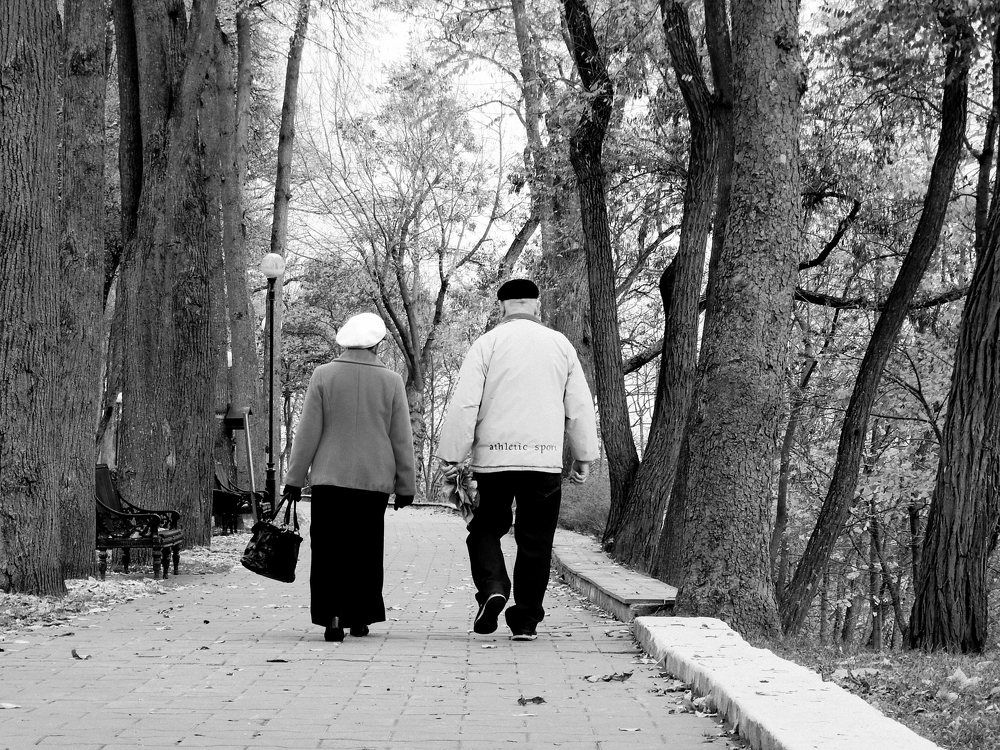 Прогулка по парку