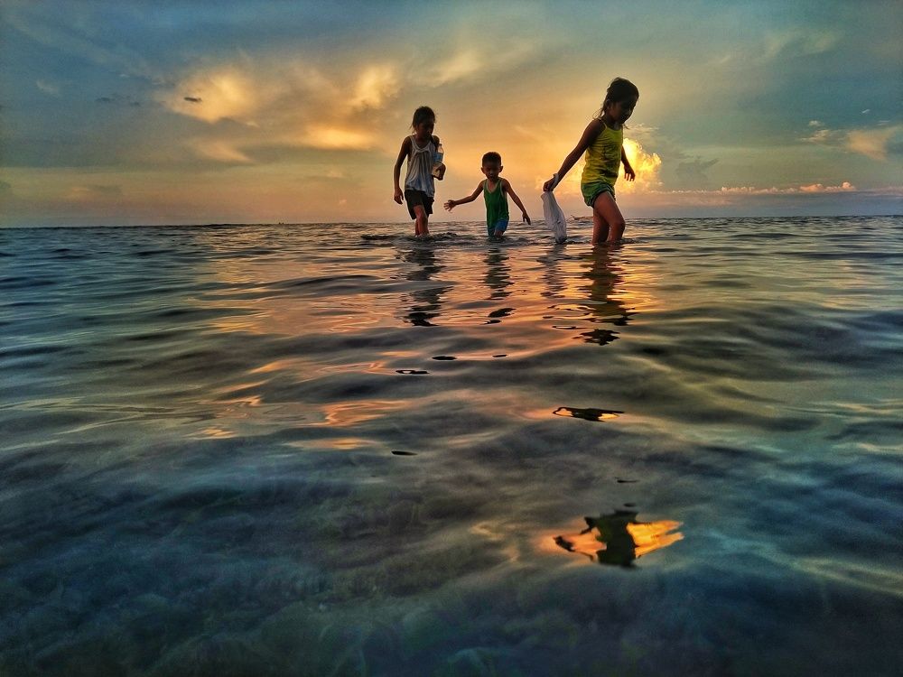 Searching for seashells