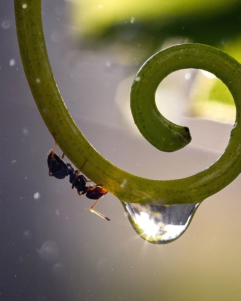 Photograph by Ольга Маковецкая