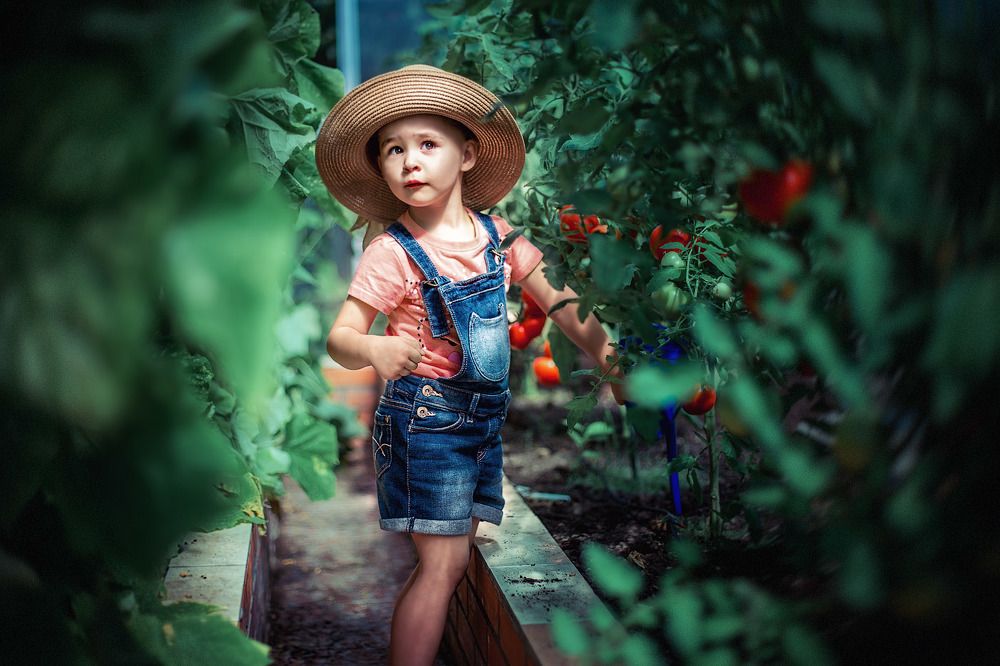 Photograph by Алексей Загрядский