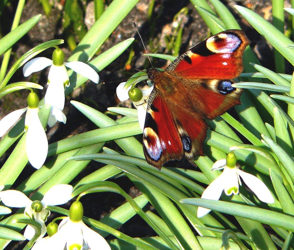 Photograph by леонид натапов