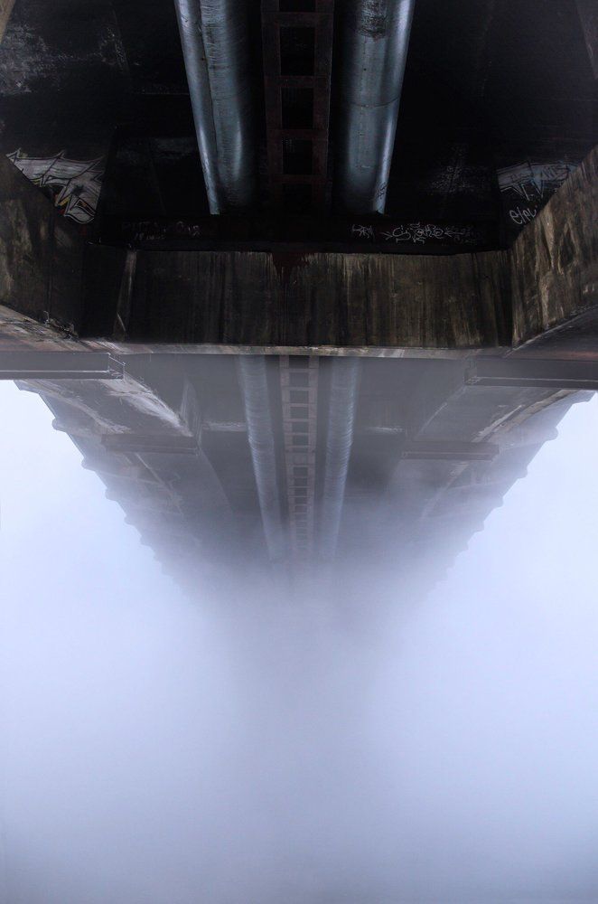 Туманное утро