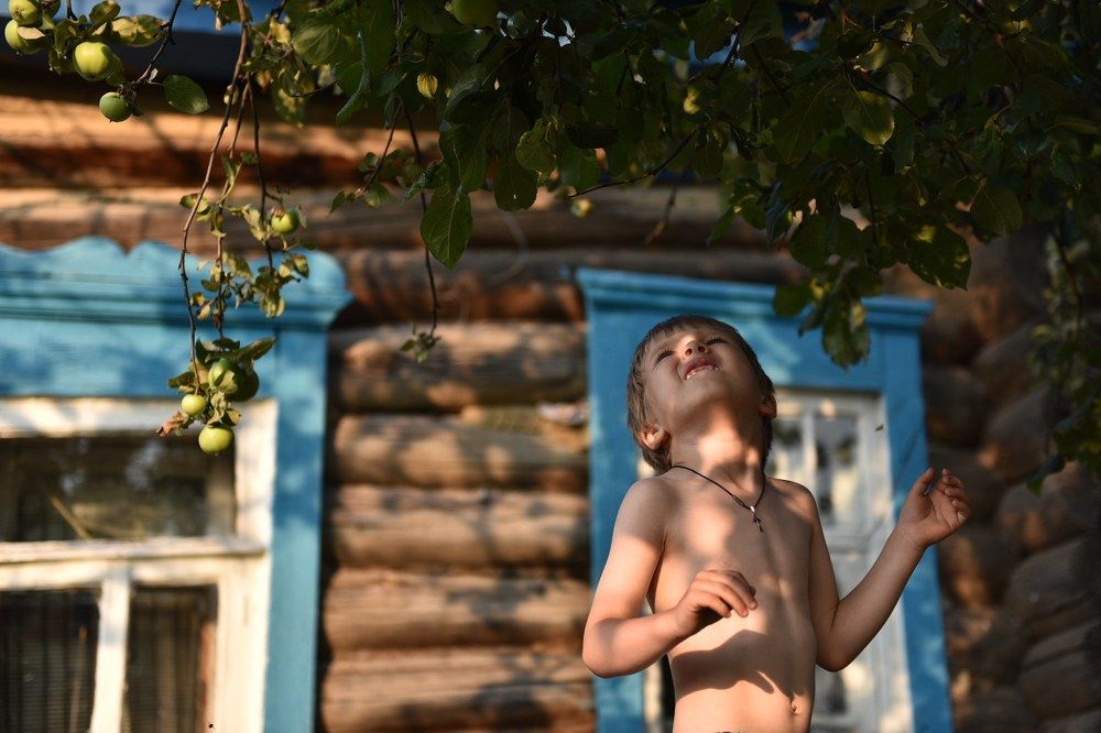 Охота на яблоки