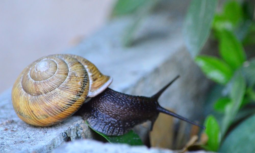 После дождя.