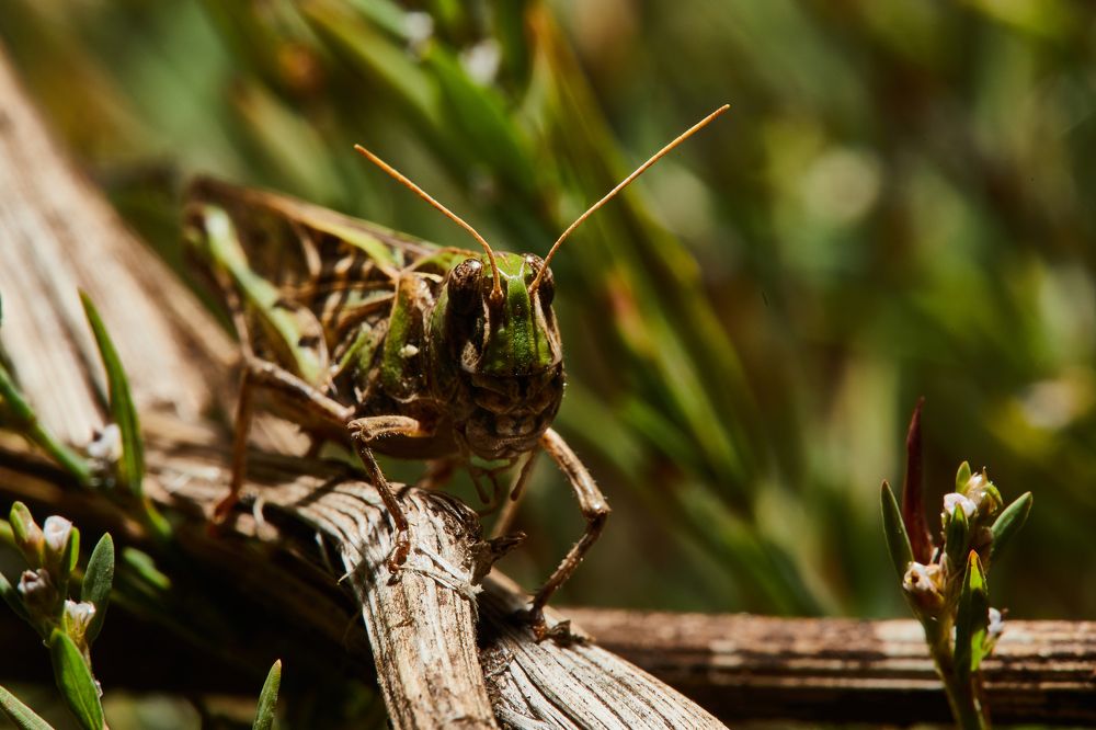 Photograph by Димтрий