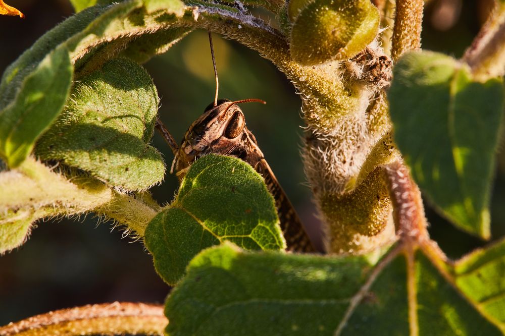 Photograph by Димтрий