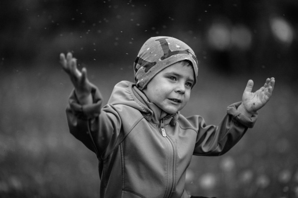 Один день из жизни мушек