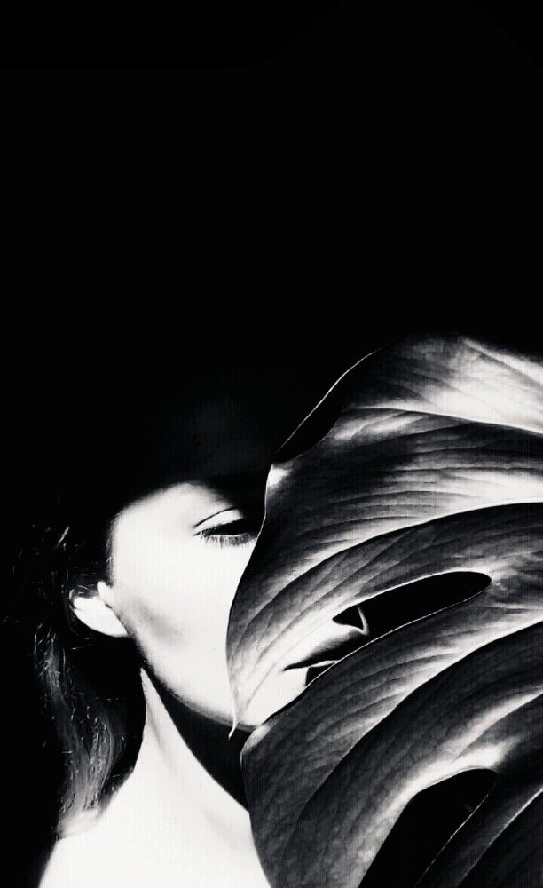 The shadow