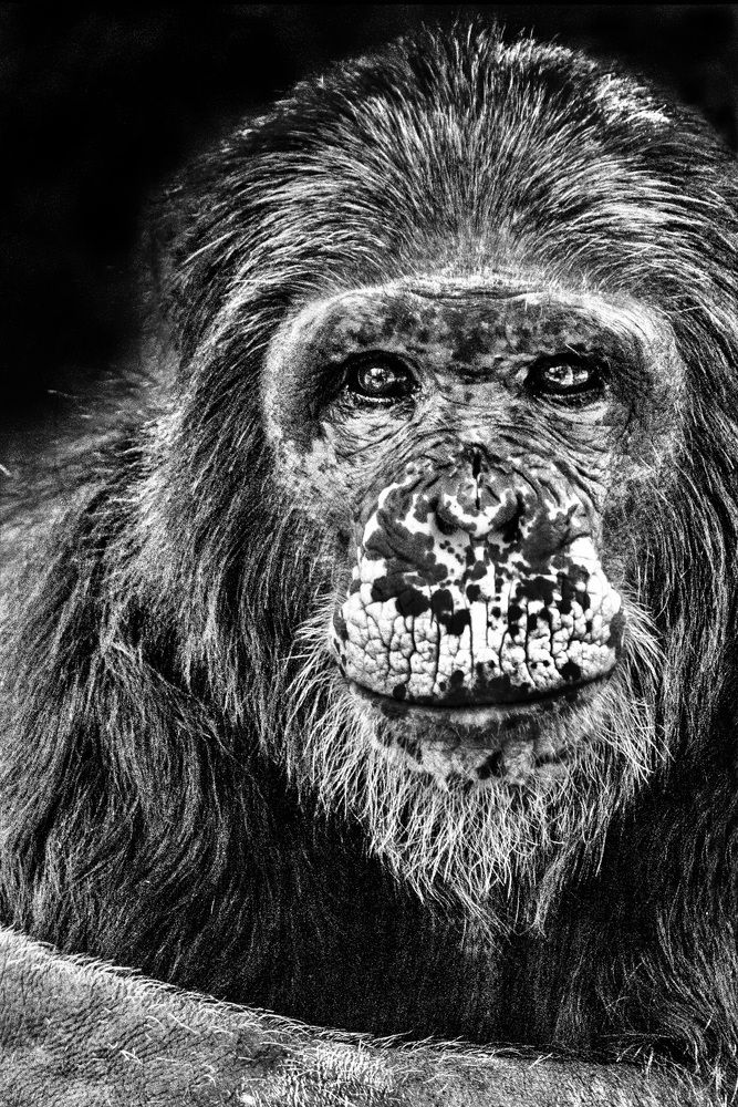 Классный парень...