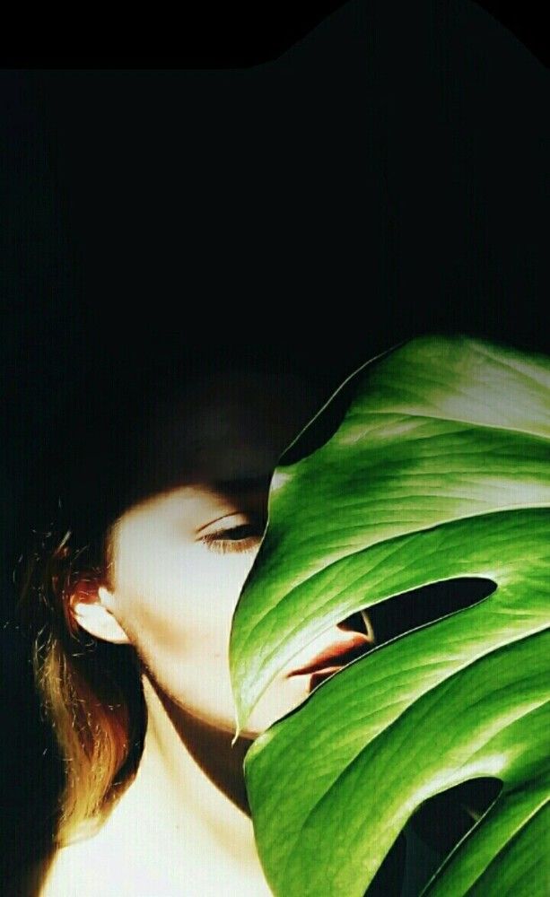The shadow