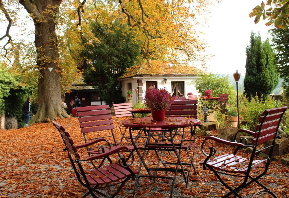 Осеннее кафе \ Autumn cafe