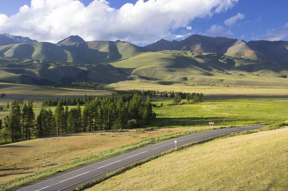 По дороге жизни