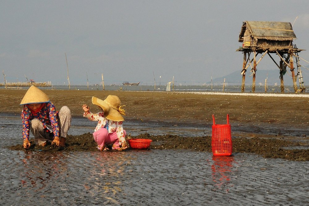 TUỔI THƠ MIỀN BIỂN