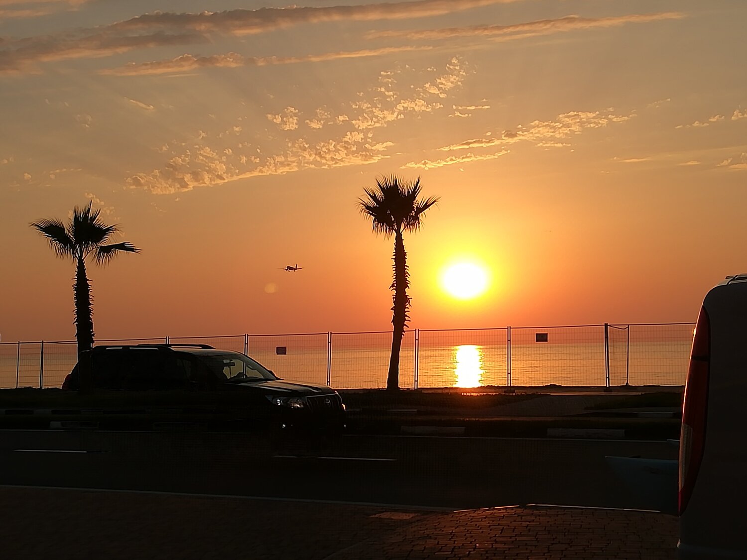 Photo #2448904