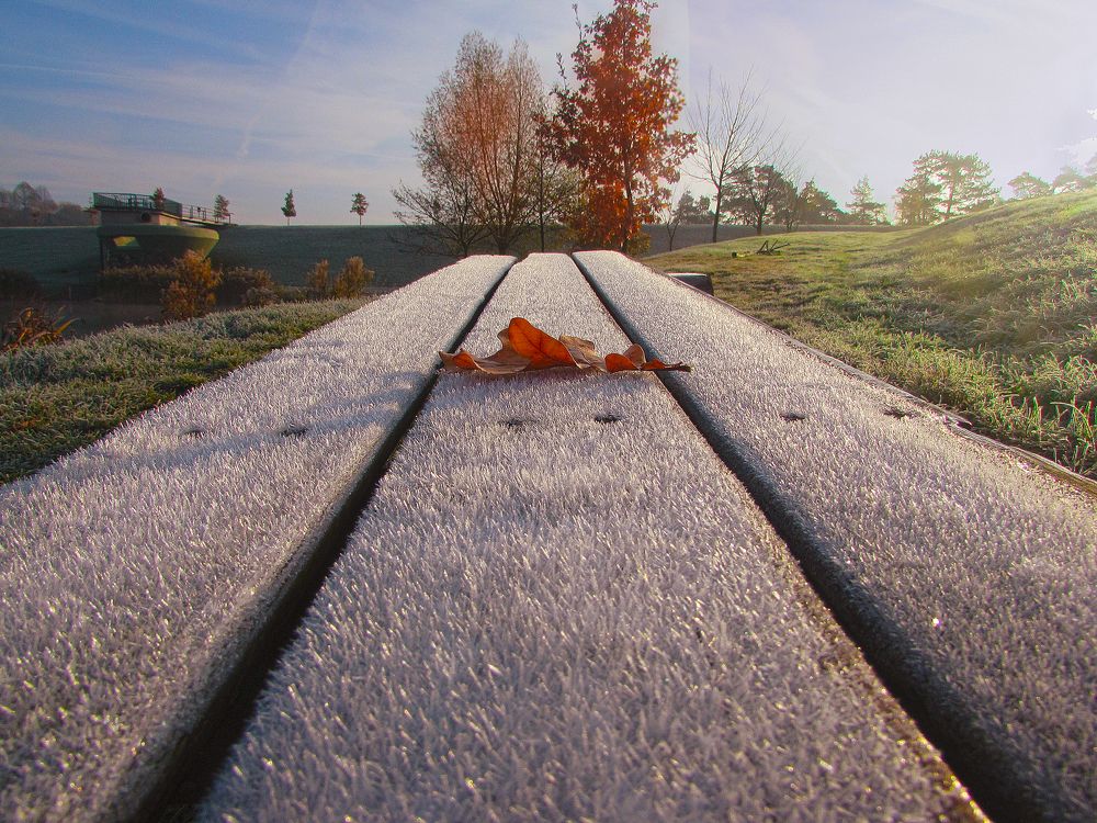 autumn