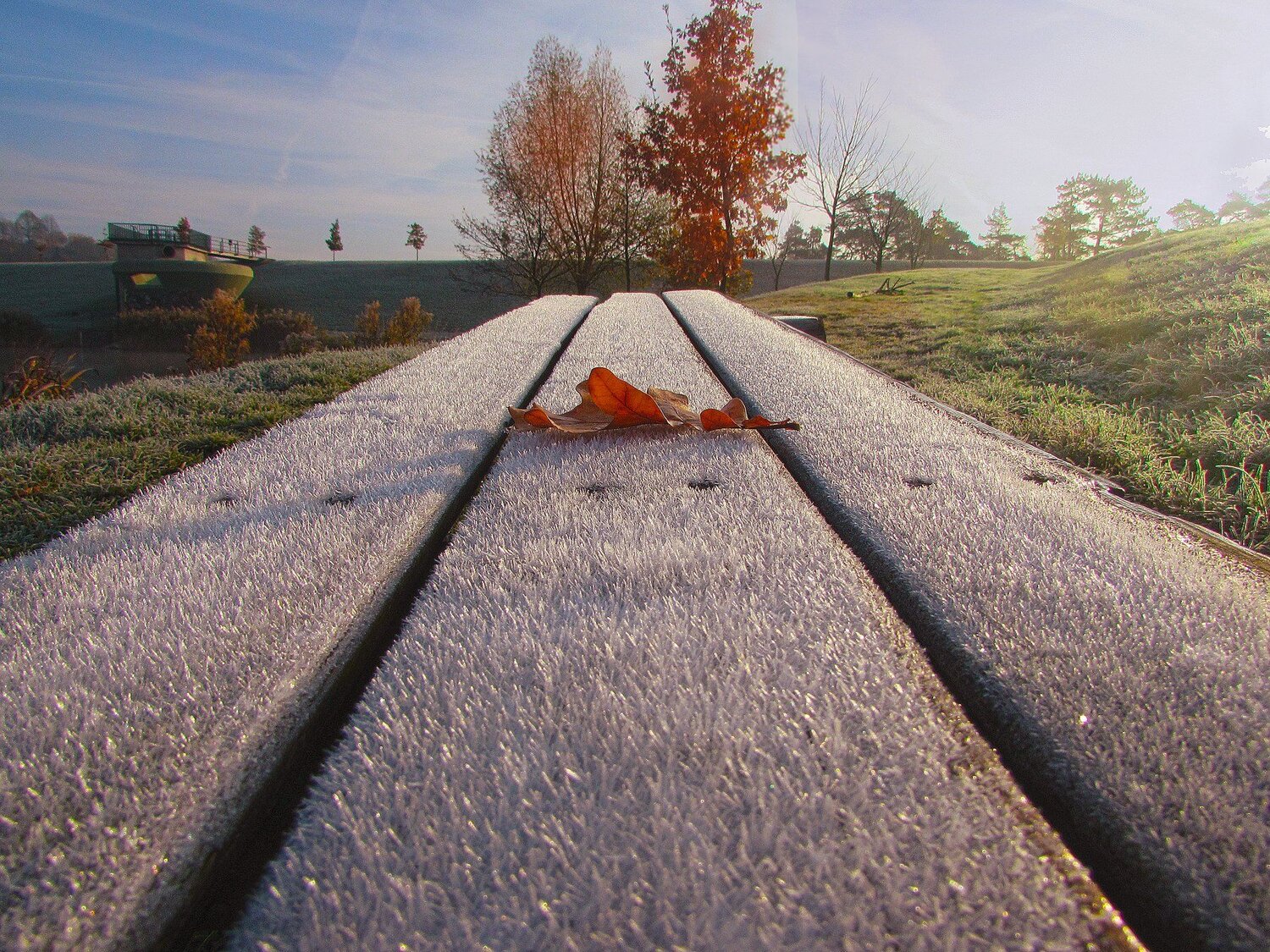 autumn