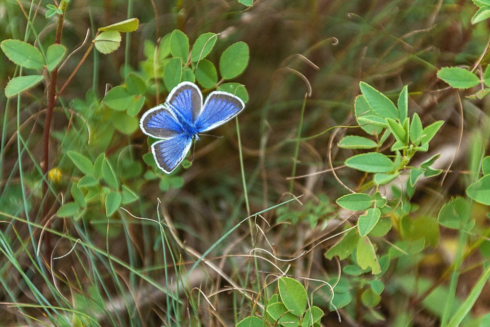Photograph by Serhii Demchenko