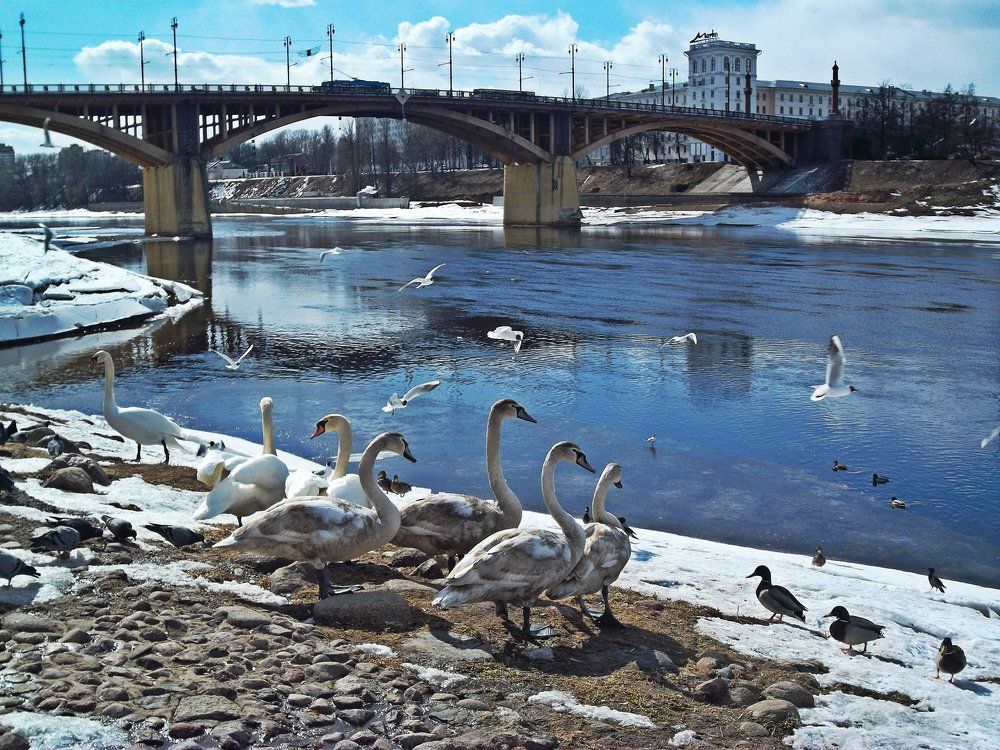 Photograph by Наталья Цуран