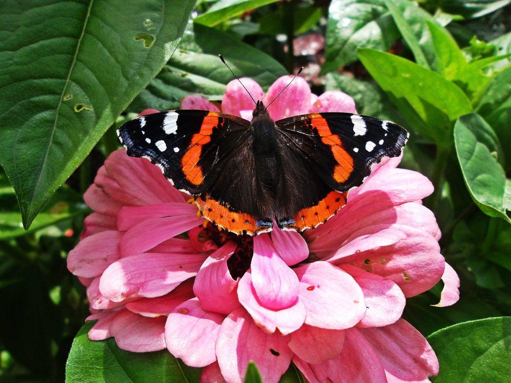 Photograph by Наталья Цуран