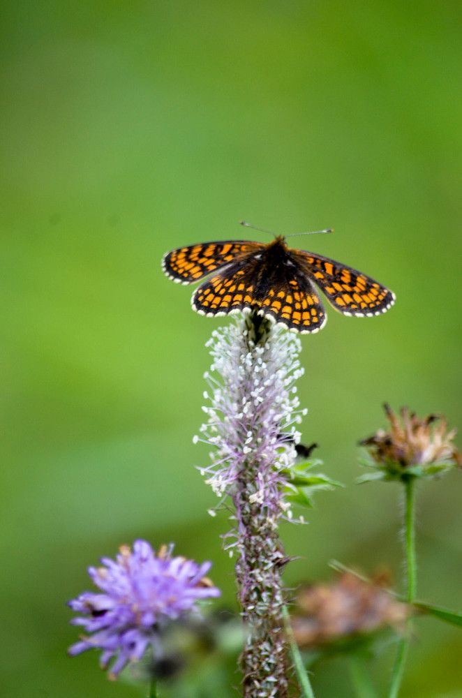 Photograph by игорь герасимовский